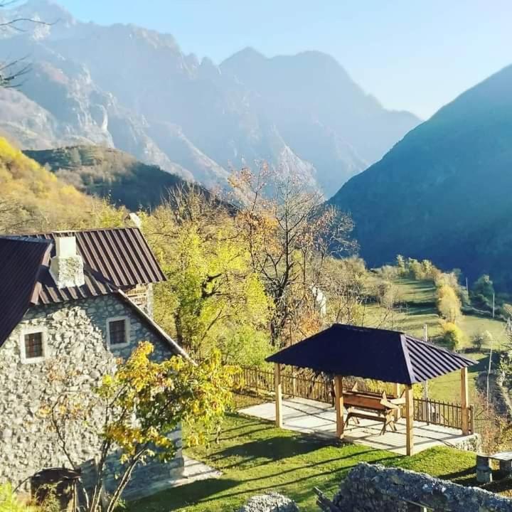 Guest House Gjelaj Теті Екстер'єр фото