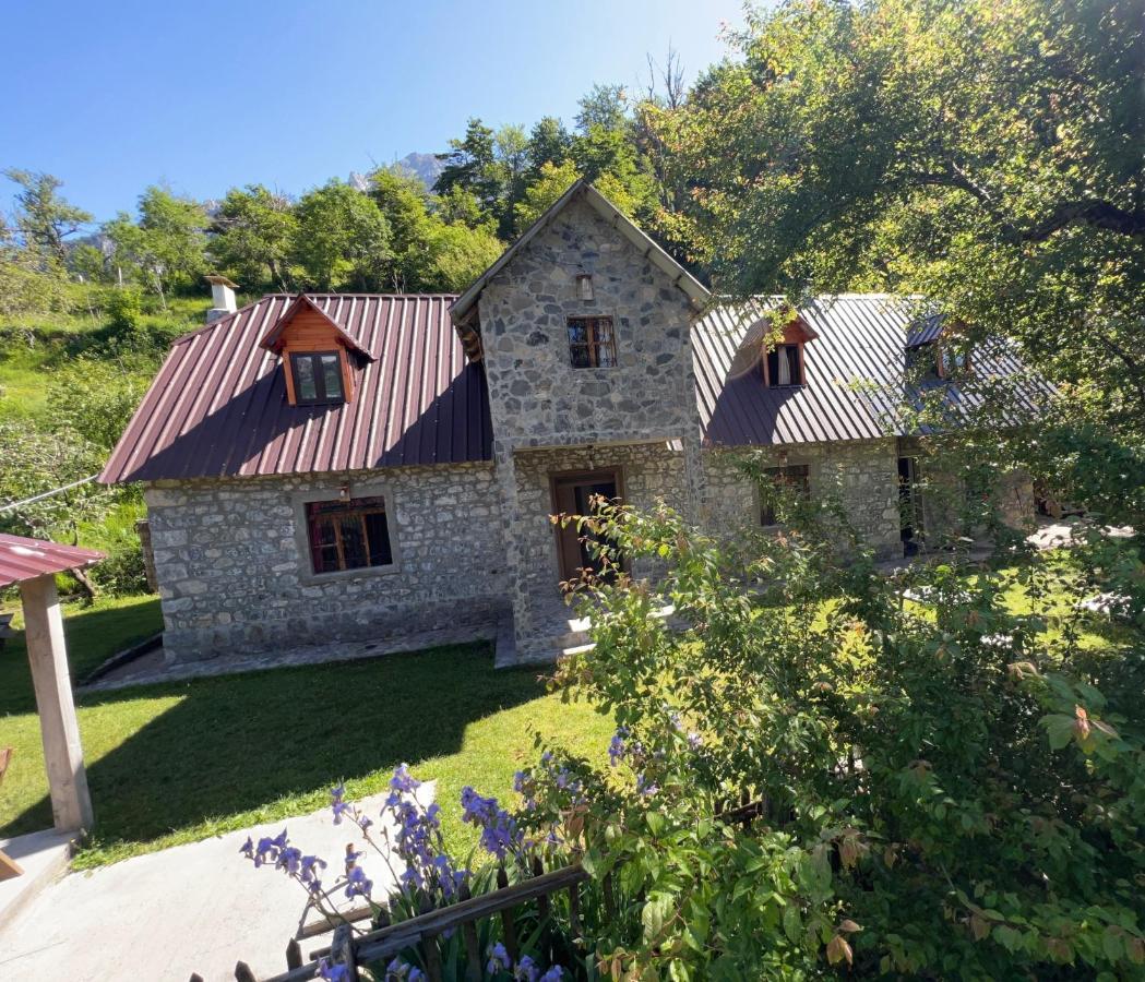 Guest House Gjelaj Теті Екстер'єр фото