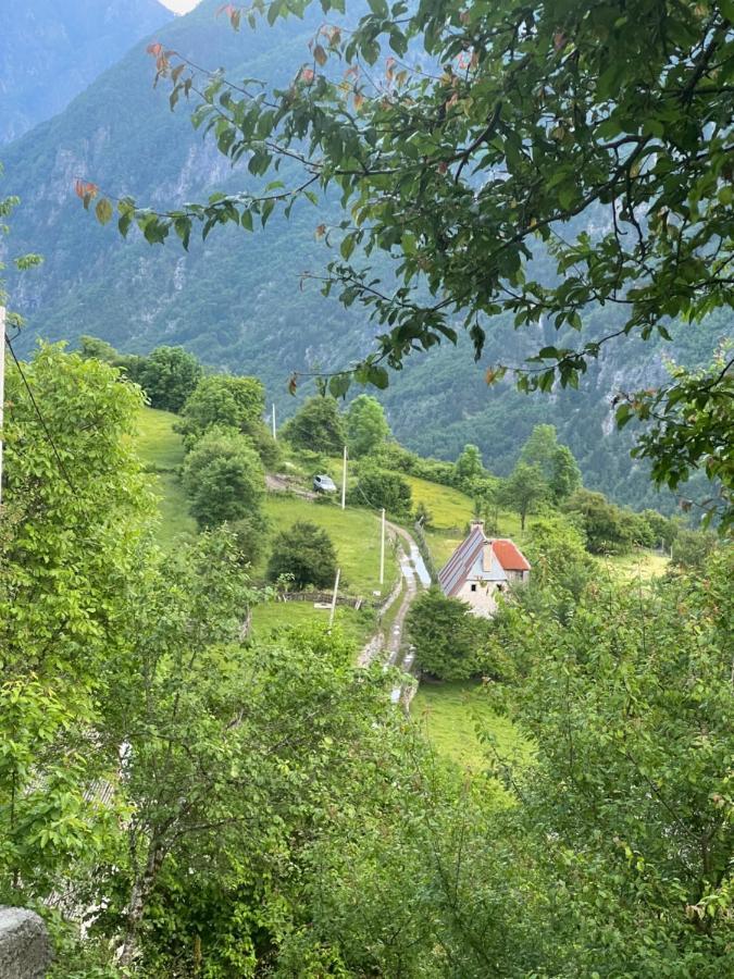 Guest House Gjelaj Теті Екстер'єр фото